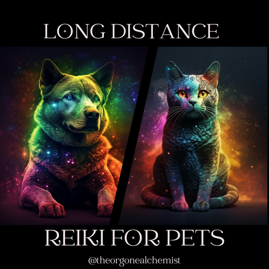 Long Distance Reiki for Pets