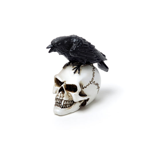 Raven Skull Miniature